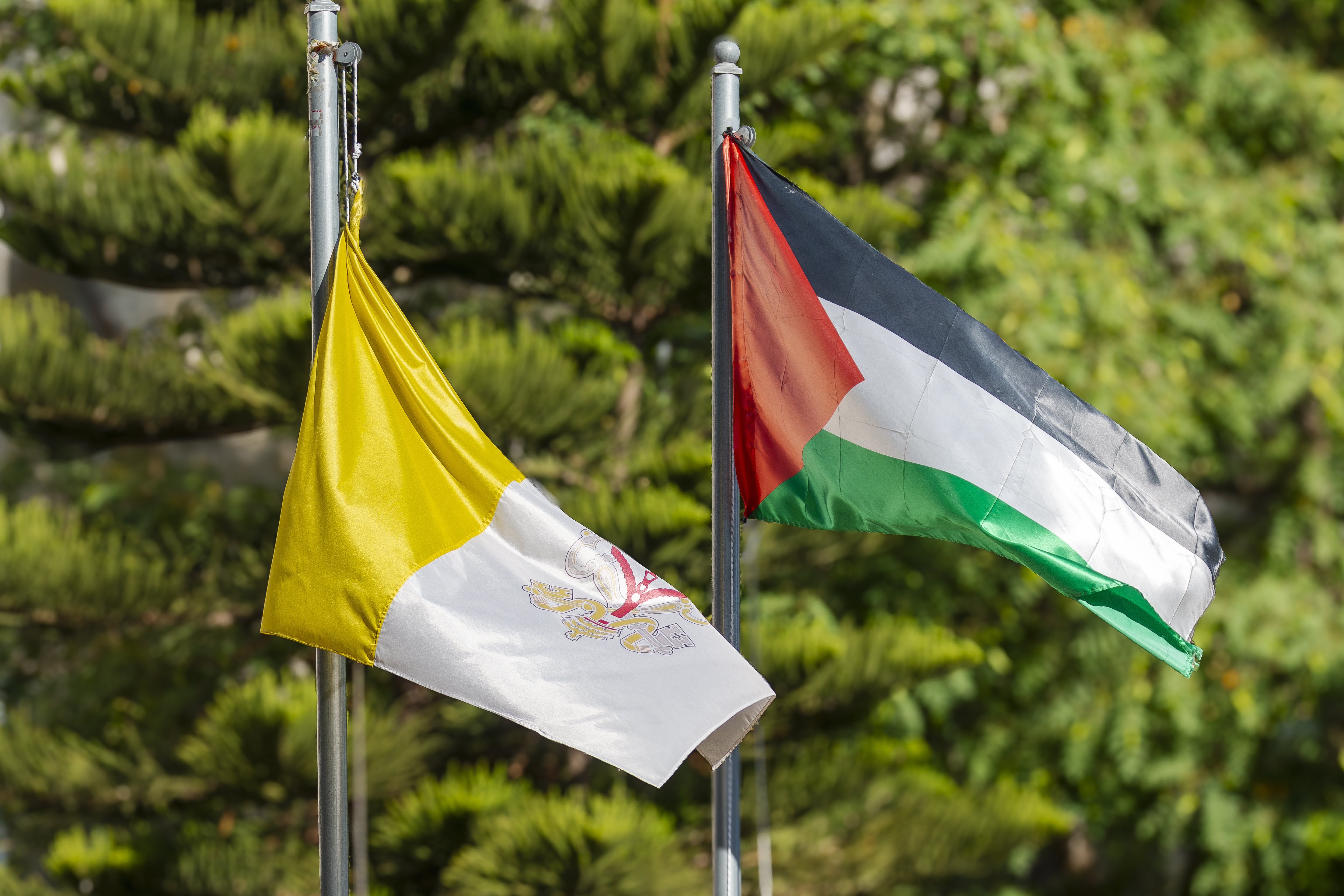 palestine, Vatican