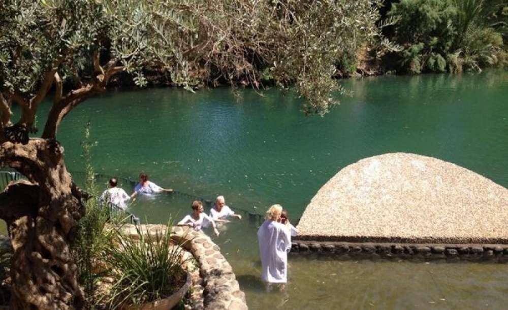 البرك