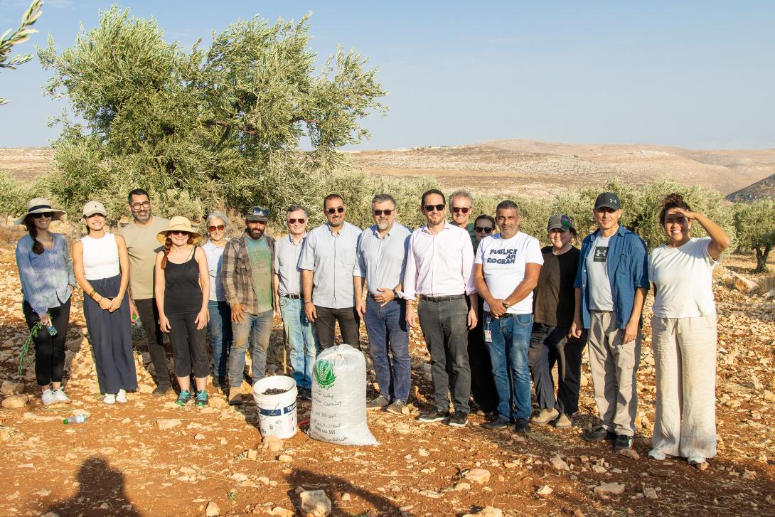 Le Consul Général de France et l’Ambassadeur de Pologne participent à la récolte des olives à Taybeh en soutien aux agriculteurs locaux